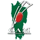 Mizoram U19