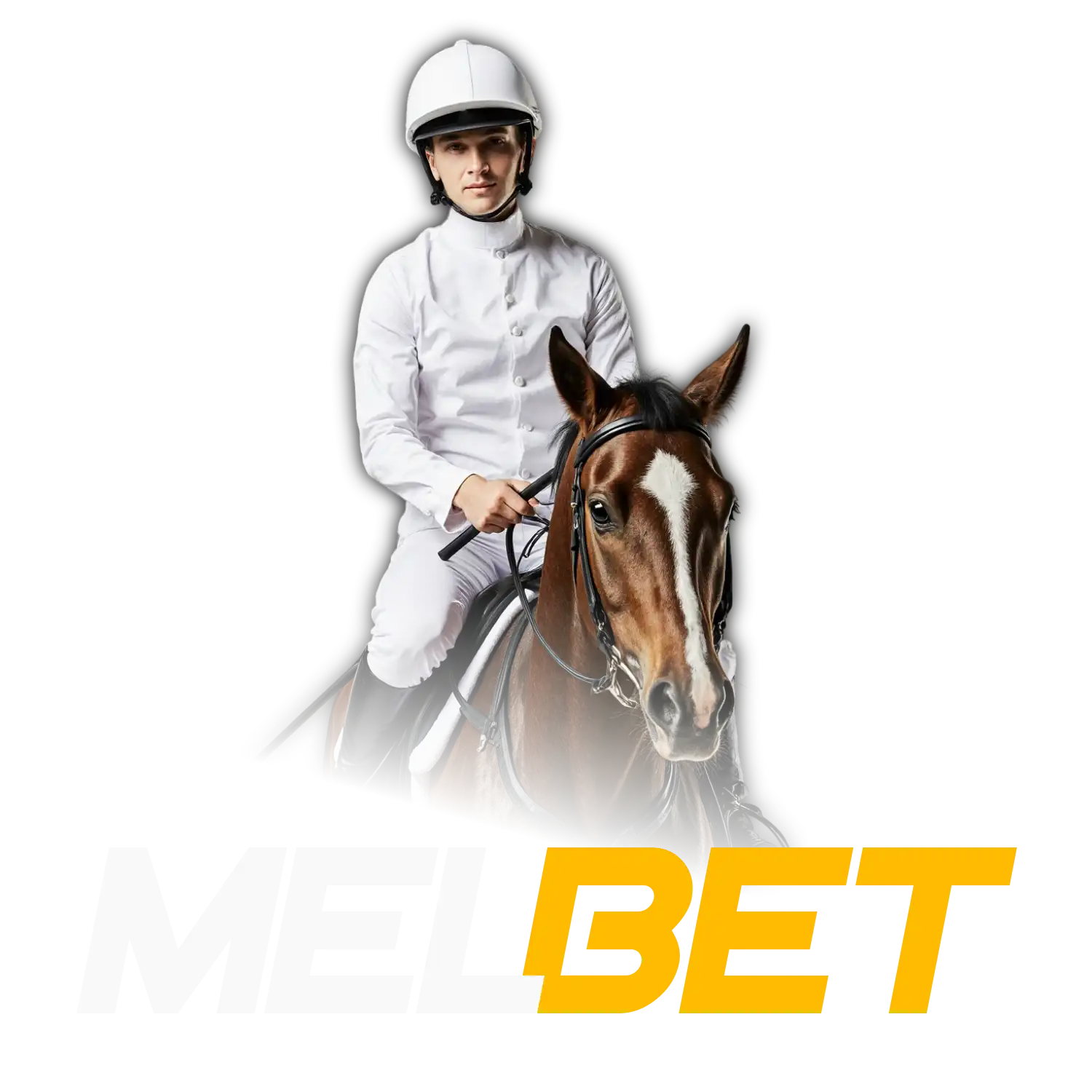 Bet on horse races with Melbet.