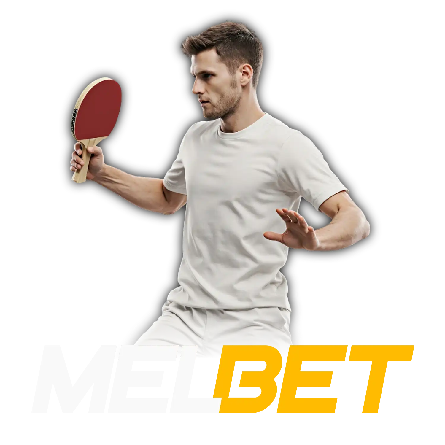 At Melbet you can bet on Table Tennis.