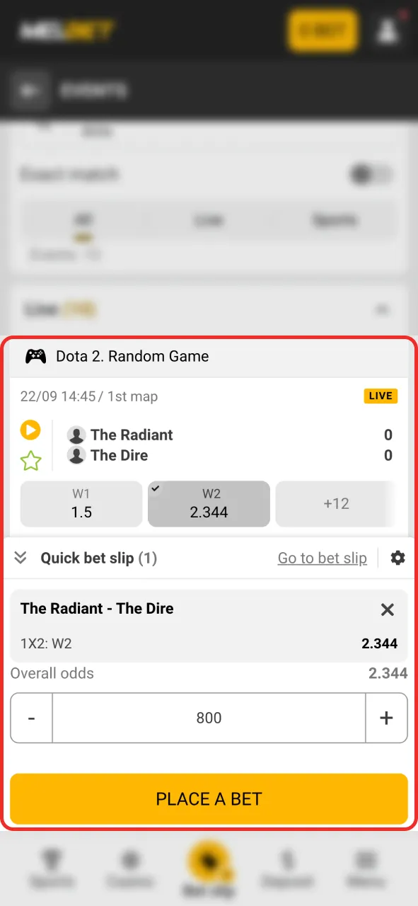 Place your Dota 2 bet at Melbet now.
