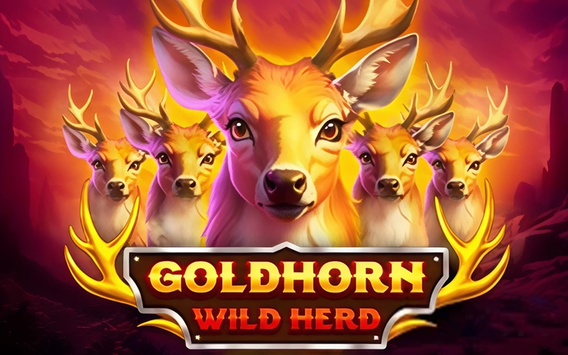 Play the new Goldhorn Wild Herd wildlife slot with 4,096 ways at Melbet.